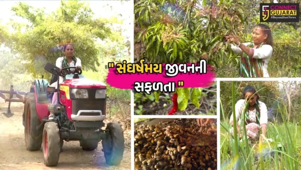 નર્મદા : શર્મિલાબેન પ્રાકૃતિક ખેતી અપનાવી બન્યા આત્મનિર્ભર,પતિના અવસાન બાદ જાતે ટ્રેક્ટર ચલાવી ખેતીમાં સફળતા પ્રાપ્ત કરી