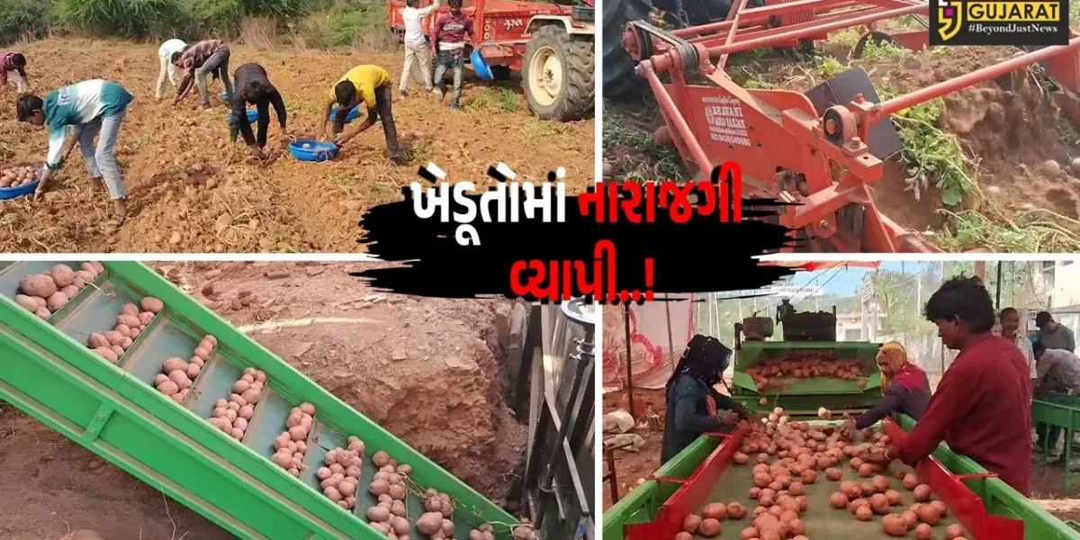 અરવલ્લી : પોષણક્ષમ ભાવ ન મળતા બટાકાની ખેતી કરતાં ખેડૂતોમાં નારાજગી, પ્રતિ 20 કિલોએ રૂ. 100’નો ઘટાડો..!