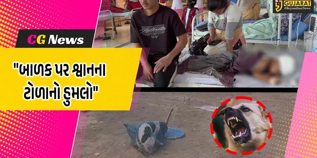 સુરત : વાલક પાટીયાની કરૂણેશ હોમ્સમાં બાળક પર ચારથી પાંચ શ્વાનનો હુમલો,ગંભીર ઈજાગ્રસ્ત બાળક સારવાર હેઠળ