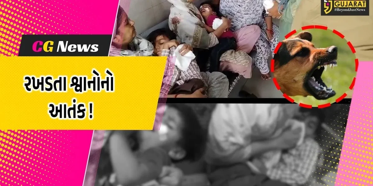 ભરૂચ: આમોદમાં રખડતા શ્વાનનો ત્રાસ, 3 બાળકો પર હુમલો કરી ગંભીર ઇજા પહોંચાડી