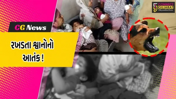ભરૂચ: આમોદમાં રખડતા શ્વાનનો ત્રાસ, 3 બાળકો પર હુમલો કરી ગંભીર ઇજા પહોંચાડી