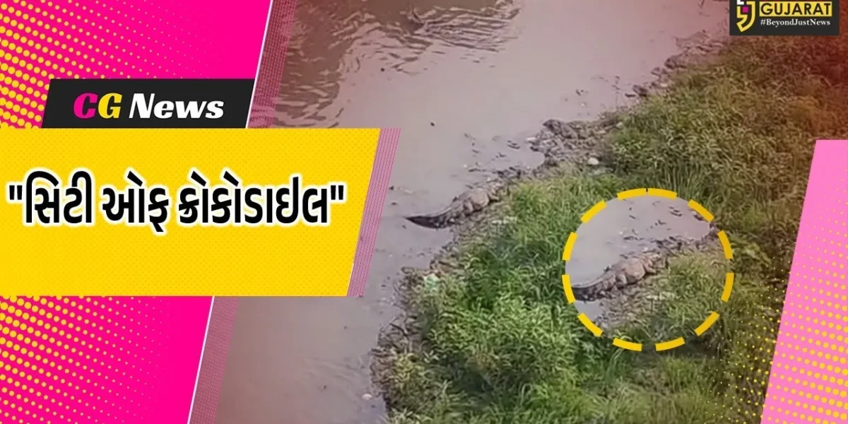 વડોદરા : શહેર બન્યું મગરોની નગરી,વિશ્વામિત્રીના કિનારે મગરોનું ‘સામ્રાજ્ય’ કુલ સંખ્યા 417 નોંધાઈ