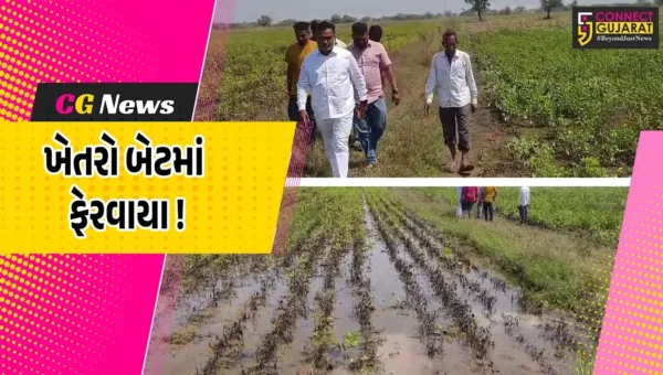 ભરૂચ: આમોદ નજીક નર્મદા કેનાલમાં પડેલ ગાબડાનું બીજા દિવસે પણ સમારકામ નહીં, ખેતીના ઉભા પાકને નુકશાન