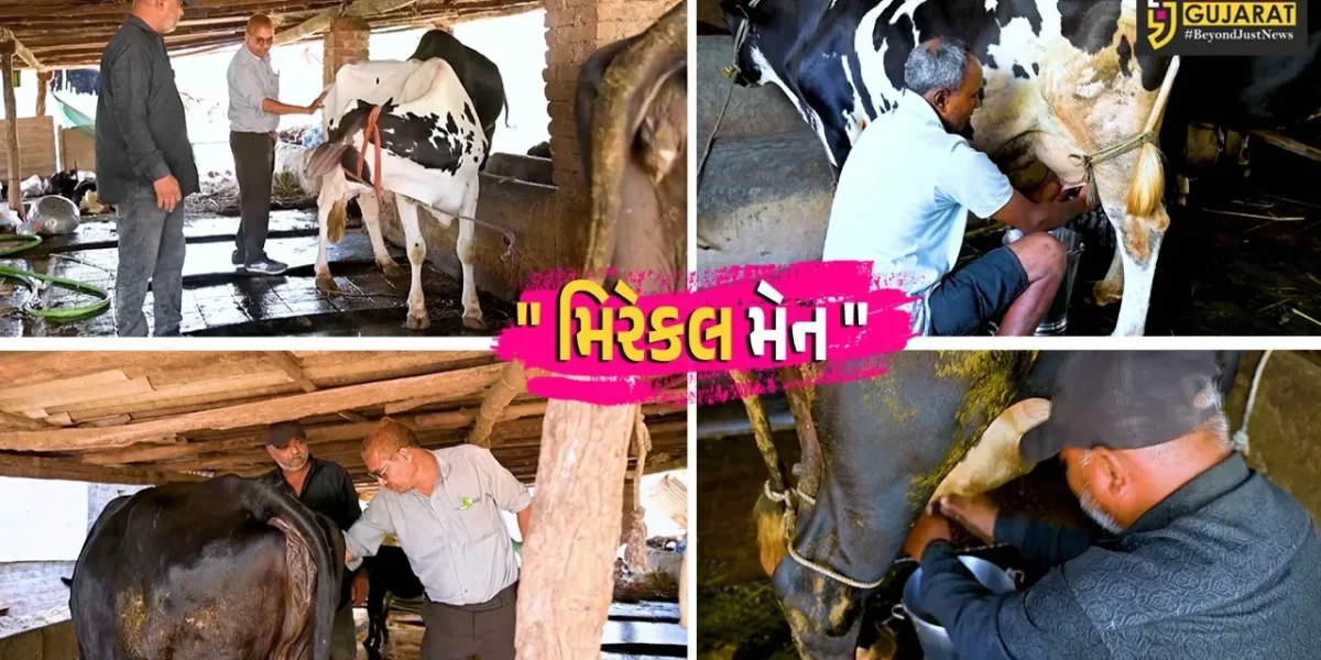 સુરત : મહુવાના પશુપાલકે પશુ સંવર્ધનમાં રચ્યો ઇતિહાસ,25 વર્ષમાં 80 હજારથી વધુ પશુઓમાં કર્યું સફળ કૃત્રિમ બીજદાન