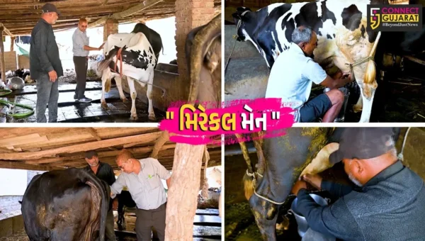 સુરત : મહુવાના પશુપાલકે પશુ સંવર્ધનમાં રચ્યો ઇતિહાસ,25 વર્ષમાં 80 હજારથી વધુ પશુઓમાં કર્યું સફળ કૃત્રિમ બીજદાન
