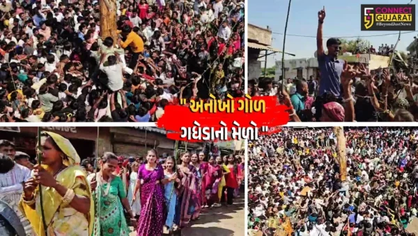 દાહોદ : જેસાવાડા ગામે પરંપરાગત ગોળ ગધેડાનો મેળો ભરાયો, યુવતીઓની સોટીઓ ખાઈને યુવકોએ ગોળ મેળવ્યો