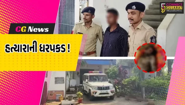 ભરૂચ: વાગરાના પીસાદ ગામમાં ઈંટના ઘા મારી યુવાનની હત્યા, આરોપીની ધરપકડ