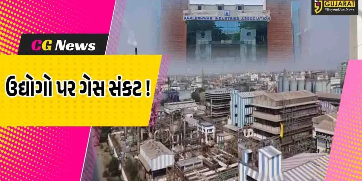 અંકલેશ્વરના ઉદ્યોગોને આંચકો, મિડલ ઇસ્ટમાં યુદ્ધ જેવી પરિસ્થિતિના પગલે LNG સપ્લાય ઘટતા પ્રોડક્શન પર અસર થવાની શક્યતા !