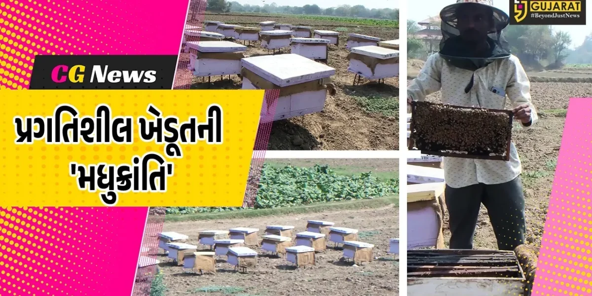 ખેડા : મધમાખી પાલન થકી વાર્ષિક રૂ. 1.50 કરોડની આવક સાથે જાળિયા ગામના પ્રગતિશીલ ખેડૂતે ‘મધુક્રાંતિ’ સર્જી…