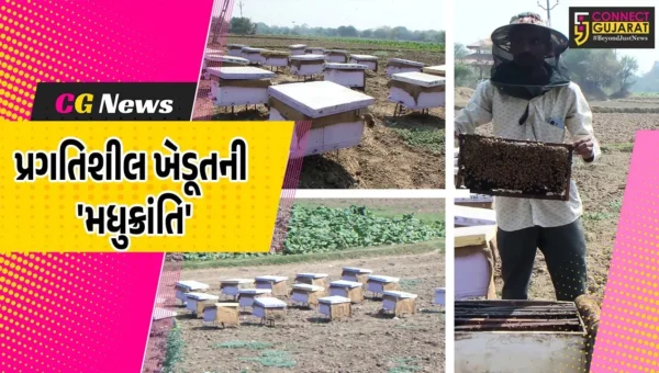 ખેડા : મધમાખી પાલન થકી વાર્ષિક રૂ. 1.50 કરોડની આવક સાથે જાળિયા ગામના પ્રગતિશીલ ખેડૂતે ‘મધુક્રાંતિ’ સર્જી…