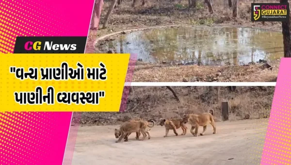 જૂનાગઢ : સાસણ ગીરમાં આકરી ગરમીમાં વન્ય પ્રાણીઓ માટે પાણીની વ્યવસ્થા,600 જેટલા કૃત્રિમ પોઈન્ટ ઉભા કરાયા