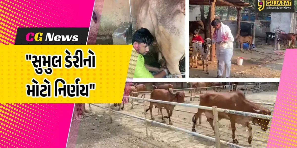 સુરત-તાપીના પશુપાલકોમાં ખુશીનો માહોલ,દૂધના ભાવમાં ઝીંકાયો ધરખમ વધારો
