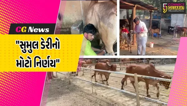 સુરત-તાપીના પશુપાલકોમાં ખુશીનો માહોલ,દૂધના ભાવમાં ઝીંકાયો ધરખમ વધારો