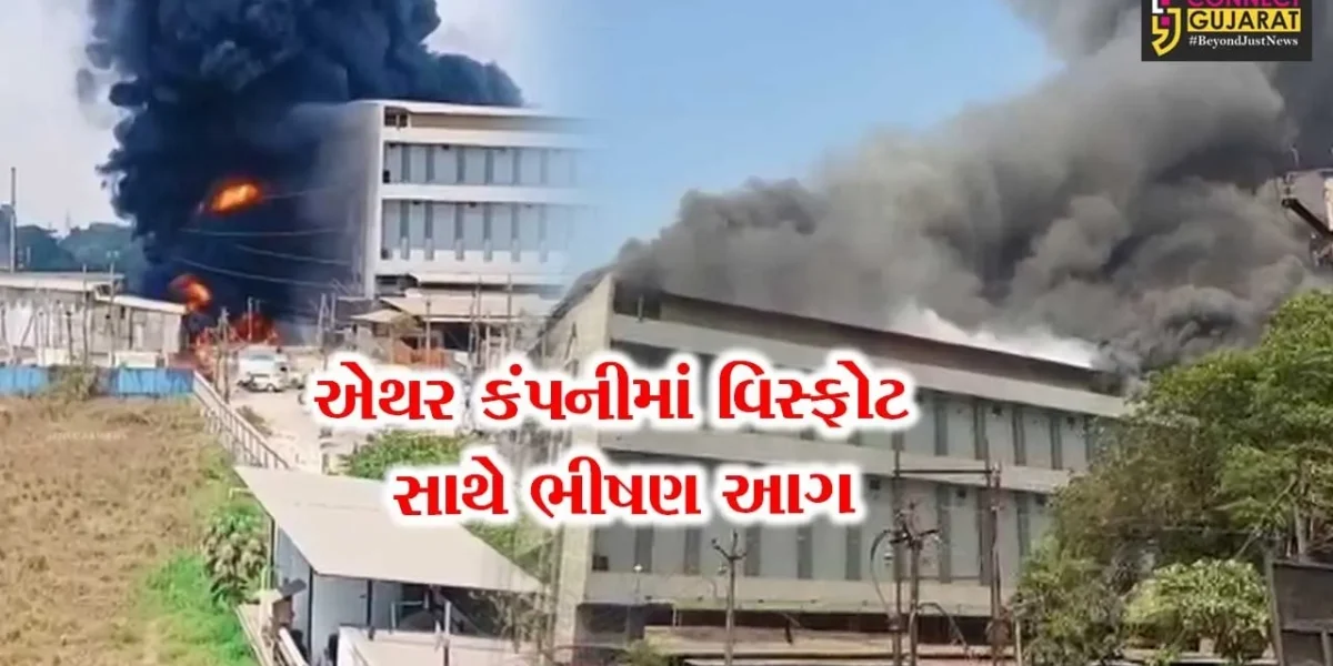 સુરત : સચિન વિસ્તારમાં એથર કંપનીના ગોડાઉનમાં ભીષણ આગ, ફાયર બ્રિગેડ દ્વારા મેજર કોલ જાહેર કરાયો