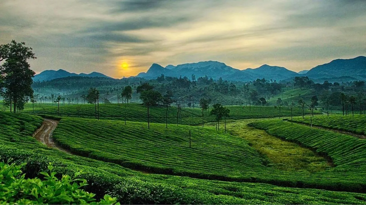 Ooty