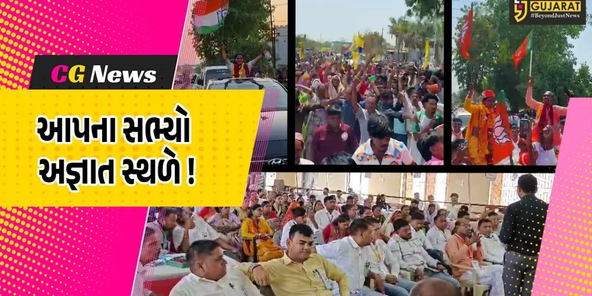 ભરૂચ: નેત્રંગ તાલુકા પંચાયતમાં સ્પષ્ટ જનાદેશ નહીં, બહુમતી માટે ચાણક્ય નીતિની પડશે જરૂર !