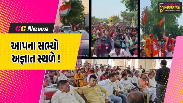 ભરૂચ: નેત્રંગ તાલુકા પંચાયતમાં સ્પષ્ટ જનાદેશ નહીં, બહુમતી માટે ચાણક્ય નીતિની પડશે જરૂર !