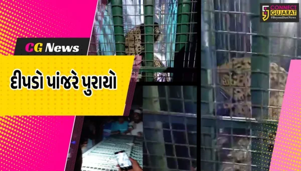 અંકલેશ્વર: ભાદી ગામની સીમમાંથી દીપડો પાંજરે પુરાયો,વન વિભાગે સુરક્ષિત સ્થળે છોડી મુકવા તજવીજ શરૂ કરી