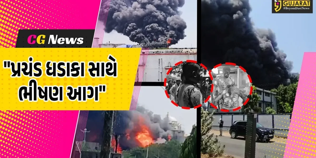 ભરૂચ : ઝઘડિયા ઔદ્યોગિક વસાહતની મેટ્રોપોલિટન એક્ઝીમકેમમાં પ્રચંડ ધડાકા  સાથે ભીષણ આગ,10થી વધુ શ્રમિક દાઝયા હોવાના અહેવાલ