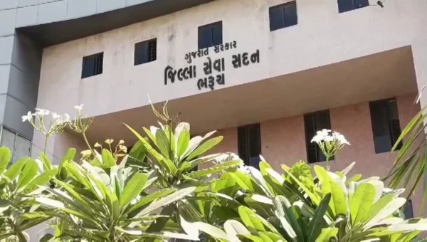 ભરૂચ જિલ્લા તાલુકા- જિલ્લા પંચાયતની ચૂંટણીમાં 51 બેઠકો અને નગરપાલિકાની 7 બેઠકો પર ઉમેદવારી પત્રો ભરાયા