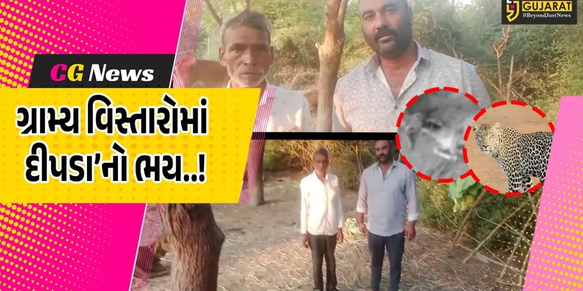 ભરૂચ : કરમાલી ગામે દીપડાએ ગાયના 3 વાછરડાનો શિકાર કરતાં ગ્રામજનોમાં ફફડાટ…