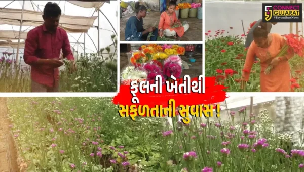 અંકલેશ્વર: સજોદના યુવા ખેડૂતોએ વિદેશી ફૂલોની કરી સફળ ખેતી, ઉચ્ચ પગારની નોકરી છોડી કૃષિને વ્યવસાય તરીકે અપનાવ્યો