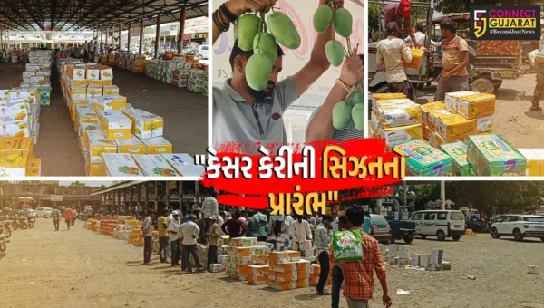 ગીર સોમનાથ : તાલાલા યાર્ડમાં કેસર કેરીની સિઝનનો મંગલ પ્રારંભ,ગૌસેવા માટે પ્રથમ બોક્સ રૂ.17 હજારમાં ખરીદાયુ