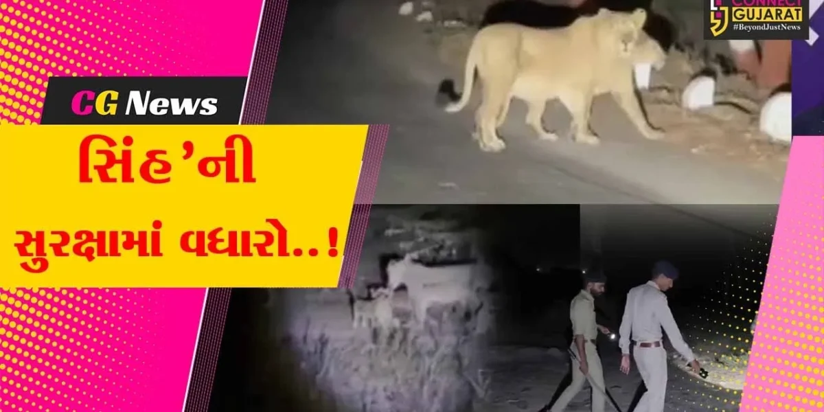 જુનાગઢ : ગીરની શાન સમાન ‘જંગલના રાજા સિંહ’ની સુરક્ષા સામે સવાલો ઊભા થતાં વન વિભાગ સતર્ક બન્યું…