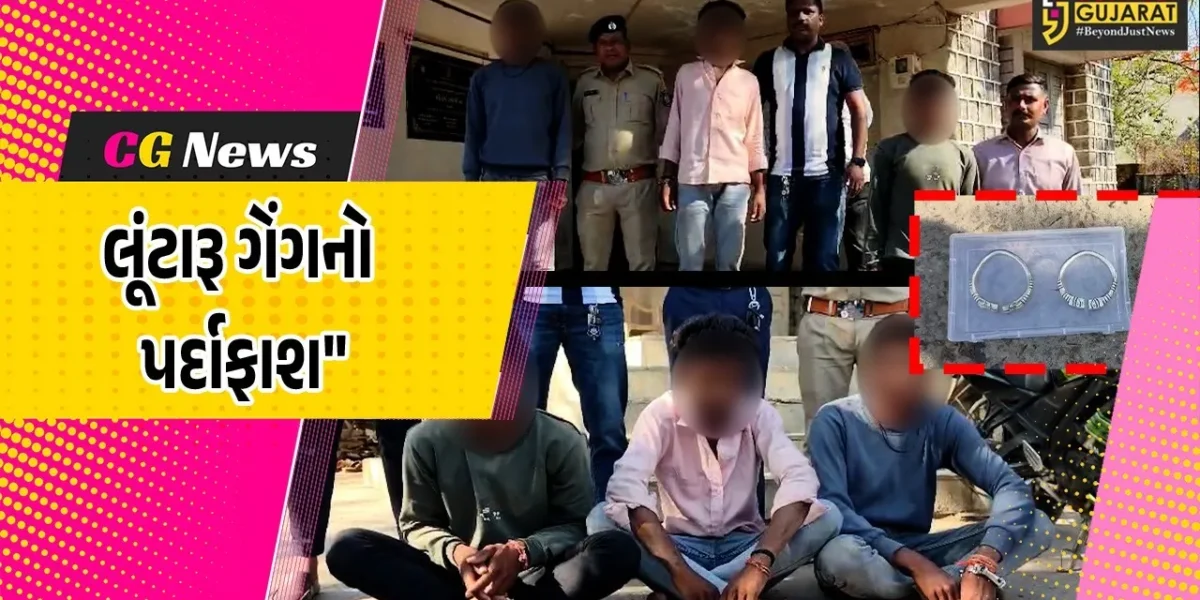 દાહોદ : પાંડવ વન વિસ્તારમાં લૂંટ ચલાવનાર ગેંગનો પર્દાફાશ, નેત્રમ સીસીટીવીની મદદથી આરોપીઓ જેલના સળિયા પાછળ