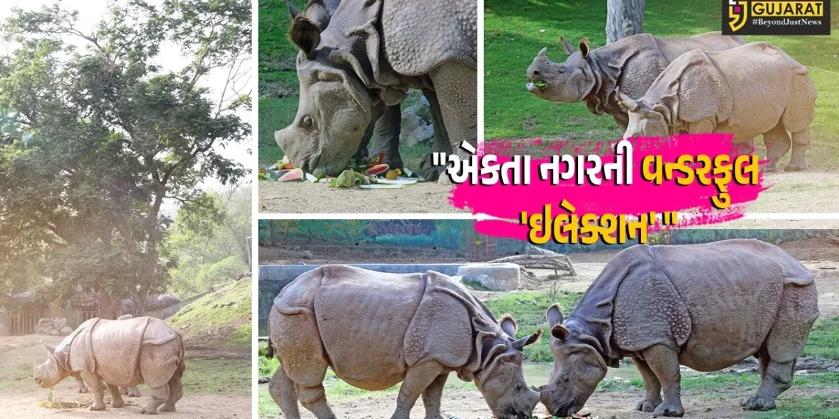 નર્મદા :  સ્ટેચ્યુ ઓફ યુનિટી સ્થિત સરદાર પટેલ જંગલ સફારીમાં માદા ગેંડા “ઇલેક્શન”નો 17મો જન્મદિવસ ઉજવાયો