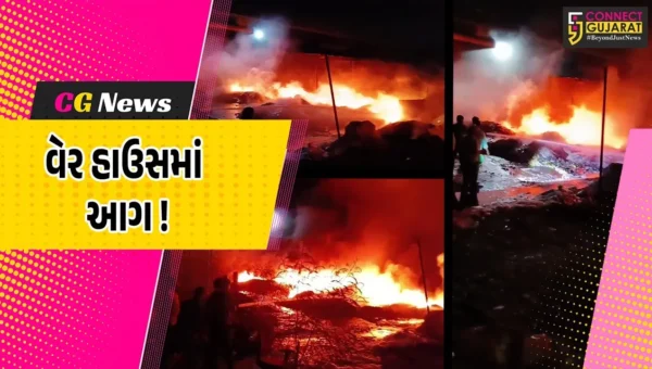ભરૂચ: સાયખા GIDCની ટી વેન્ચર કંપનીના વેર હાઉસમાં આગ, ફાયર વિભાગે આગ પર મેળવ્યો કાબુ