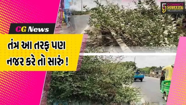 અંકલેશ્વર: મહત્વના ગણાતા ONGC બ્રિજની રેલિંગ નજીક ઝાડી ઝાંખરાનું સામ્રાજ્ય, તંત્ર પાસે હટાવવાનો સમય જ નથી ?