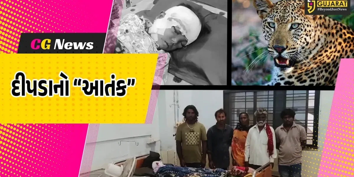 જુનાગઢ : આણંદપુરમાં 4 વર્ષીય બાળક પર દીપડાનો જીવલેણ હુમલો, ઇજાગ્રસ્ત સારવાર હેઠળ…