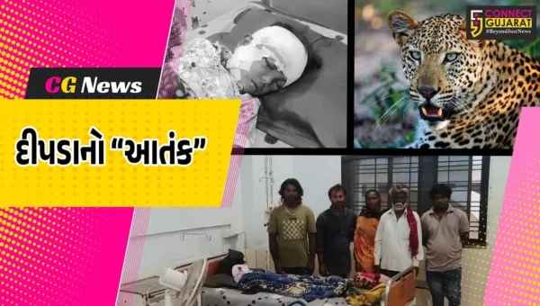 જુનાગઢ : આણંદપુરમાં 4 વર્ષીય બાળક પર દીપડાનો જીવલેણ હુમલો, ઇજાગ્રસ્ત સારવાર હેઠળ…