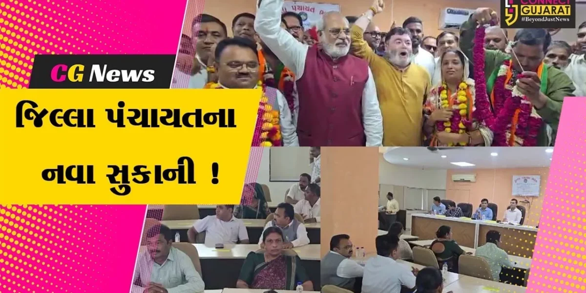 ભરૂચ જિલ્લા પંચાયતના પ્રમુખ તરીકે ડિમ્પલ રાજ અને ઉપપ્રમુખ તરીકે અજિત વસાવાની વરણી