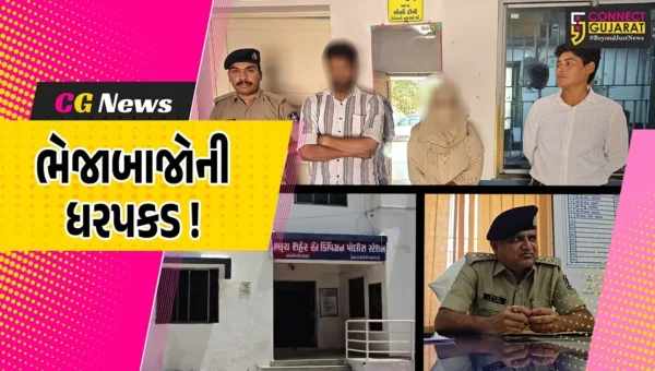 ભરૂચ:પીઝા-પંજાબી કાફે ફ્રેન્ચાઈઝીના નામે 26.46 લાખનું ચકચારી કૌભાંડ,પોલીસે 2 આરોપીઓની કરી ધરપકડ