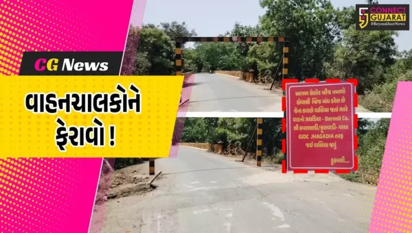 ભરૂચ: ઝઘડિયાના સેલોદ ગામ નજીક આવેલો બ્રિજ જર્જરિત હાલતમાં, ભારે વાહનોના પસાર થવા પર પ્રતિબંધ