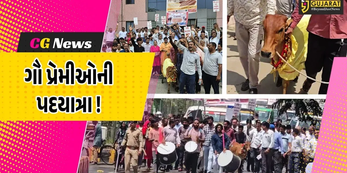 ભરૂચ: ગાય માતાને રાષ્ટ્રીય ધરોહર જાહેર કરવા માંગ, ગૌ પ્રેમીઓએ પદયાત્રા યોજી કલેકટરને પાઠવ્યું આવેદનપત્ર