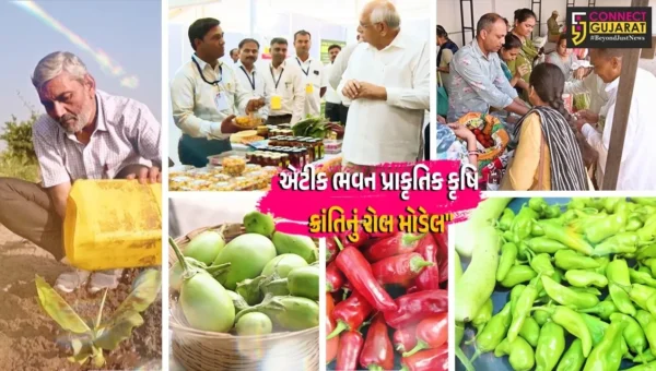 આણંદ :  બોરસદનું એટીક ભવન પ્રાકૃતિક કૃષિ ક્રાંતિનું રોલ મોડેલ બન્યું, ખેડૂતો રાસાયણિક મુક્ત ખેતી તરફ વળીને આત્મનિર્ભર બન્યા
