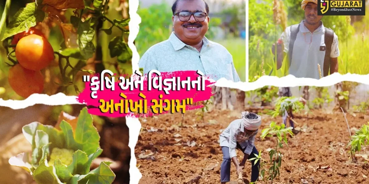 ડાંગ : ખેડૂતોએ પરંપરાગત ખેતીને કહી અલવિદા, ‘સૂર્યમંડળ ખેતી’થી કરી લાખોની કમાણી,કૃષિ વિદ્યાર્થીઓ માટે રોલ મોડેલ બન્યું ખેતર