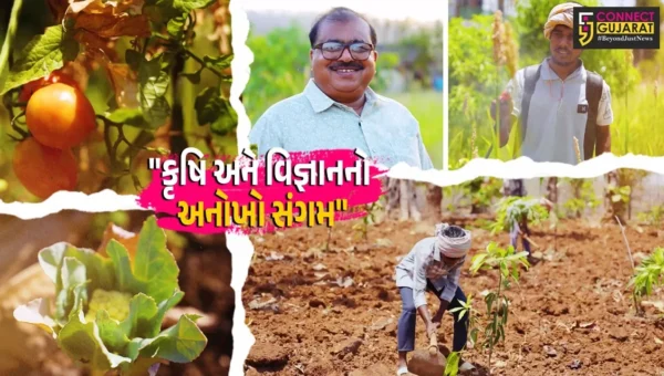 ડાંગ : ખેડૂતોએ પરંપરાગત ખેતીને કહી અલવિદા, ‘સૂર્યમંડળ ખેતી’થી કરી લાખોની કમાણી,કૃષિ વિદ્યાર્થીઓ માટે રોલ મોડેલ બન્યું ખેતર