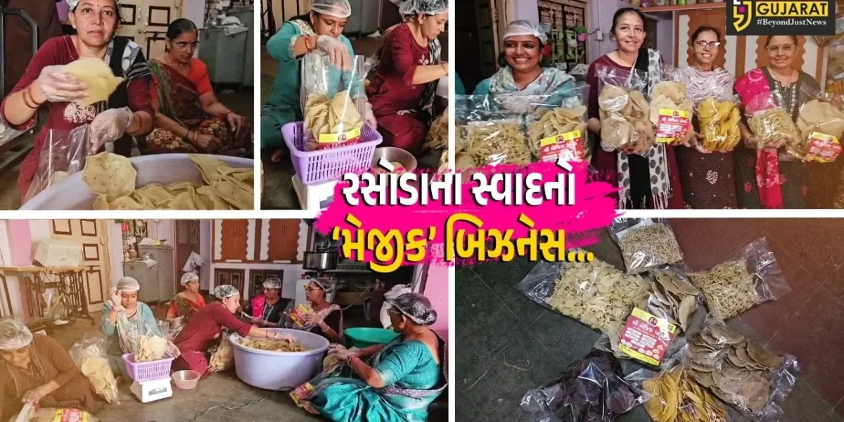 સાબરકાંઠા : દેરાણી-જેઠાણીની જોડી બની સ્વનિર્ભરતાનું પ્રતીક, રસોડાના સ્વાદને બનાવ્યો ‘મેજીક’ બિઝનેસ…