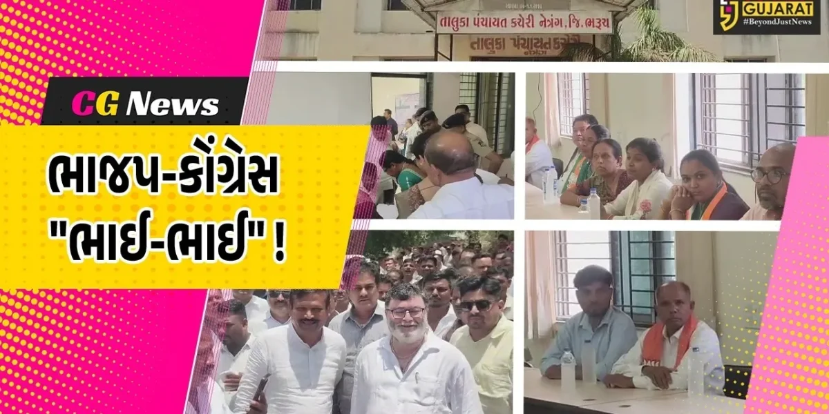 ભરૂચ: નેત્રંગમાં ભારે રસાકસી બાદ કોંગ્રેસના ટેકાથી ભાજપે સત્તા હાંસલ કરી, આપના મુખે કોળિયો આવતો આવતો રહી ગયો