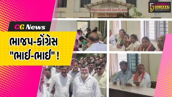 ભરૂચ: નેત્રંગમાં ભારે રસાકસી બાદ કોંગ્રેસના ટેકાથી ભાજપે સત્તા હાંસલ કરી, આપના મુખે કોળિયો આવતો આવતો રહી ગયો