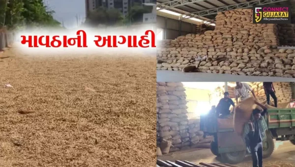 સુરત : દક્ષિણ ગુજરાતમાં માવઠાની આગાહી,હવામાન વિભાગની ચેતવણી બાદ જગતનો તાત ચિંતાતુર
