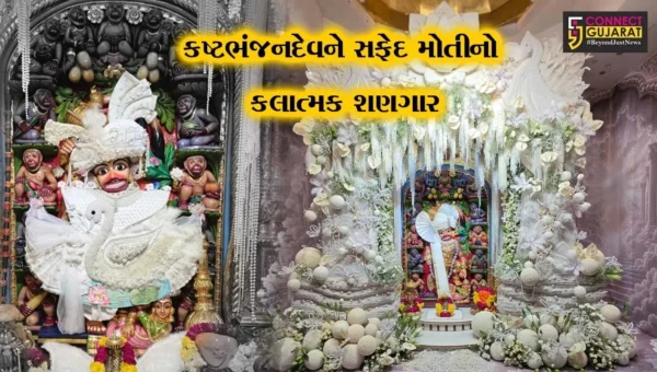 બોટાદ : સાળંગપુરધામમાં દાદાનો દિવ્ય દરબાર,અધિક જેઠ માસે કષ્ટભંજનદેવને ધરાવાયો સફેદ મોતીનો કલાત્મક શણગાર