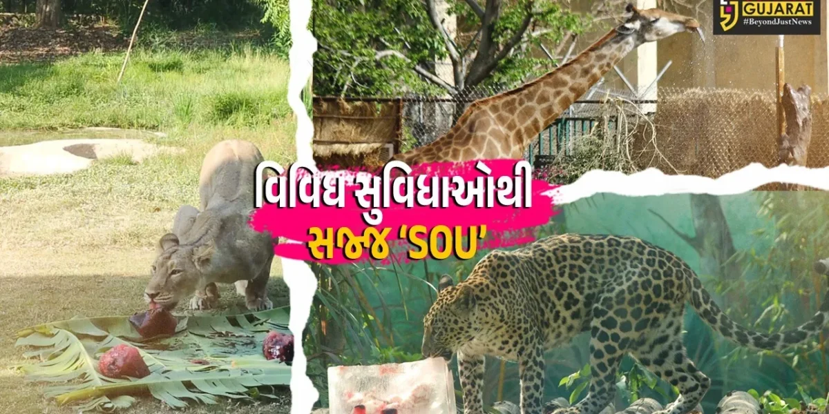 નર્મદા : સરદાર પટેલ ઝૂલોજીકલ પાર્કમાં પ્રાણી-પક્ષીઓના સંરક્ષણ-સંવર્ધન સહિત પ્રવાસીઓની સુવિધામાં વધારો…