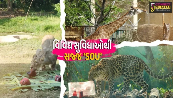 નર્મદા : સરદાર પટેલ ઝૂલોજીકલ પાર્કમાં પ્રાણી-પક્ષીઓના સંરક્ષણ-સંવર્ધન સહિત પ્રવાસીઓની સુવિધામાં વધારો…