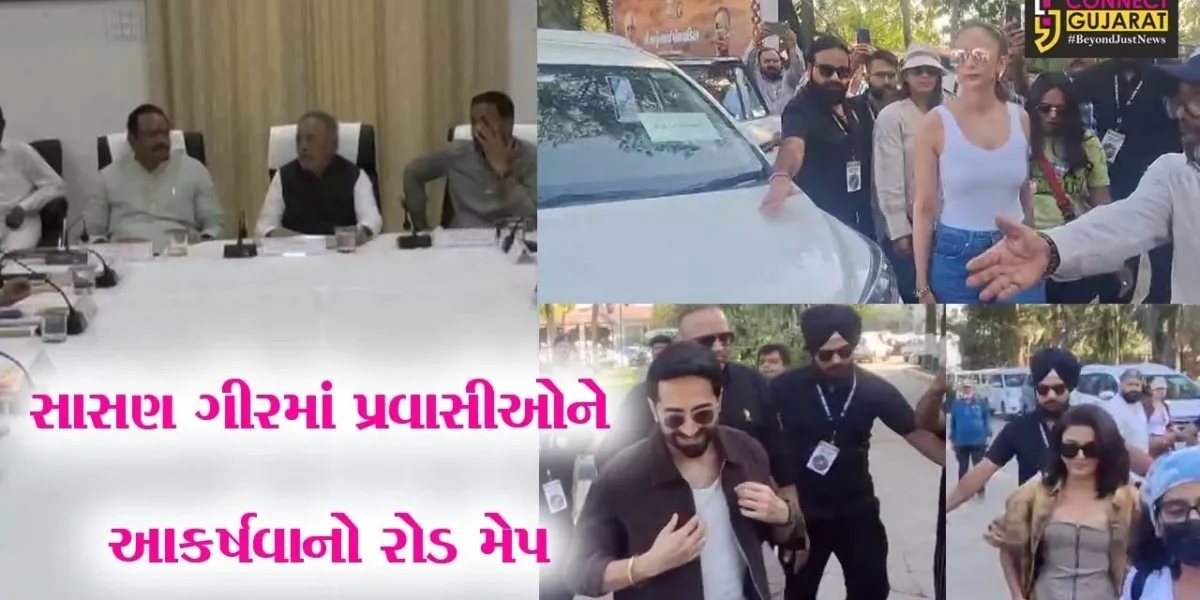 જૂનાગઢ : સાસણ ગીરના વિકાસ અર્થ મંત્રીઓની મહત્વની બેઠક,તો સાવજની ધરતી પર ઉતર્યા બોલિવૂડના સિતારા