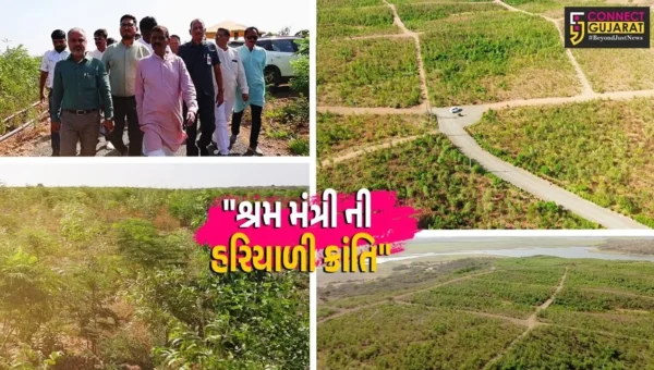 મોરબી :  ગુજરાતના શ્રમમંત્રીનો અથાક પરિશ્રમ, સિરામીક ટાઉન મોરબી હરિયાળું બનાવવા માટે 10 લાખ વૃક્ષોનું વાવેતર કર્યું